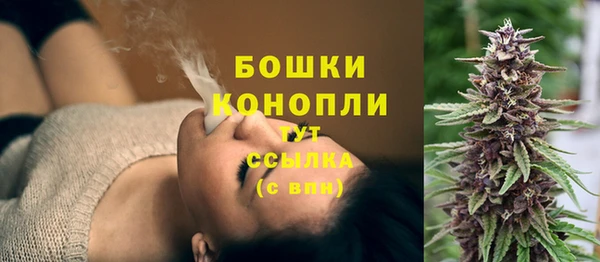 бошки Каменка