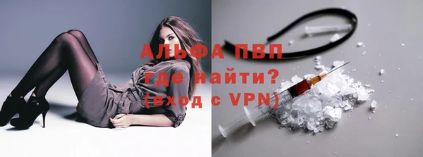 герыч Каменногорск