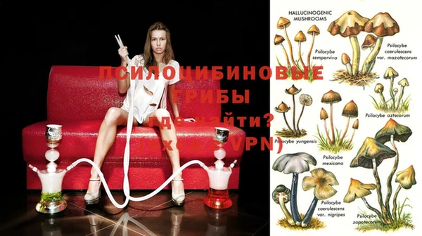 герыч Каменногорск
