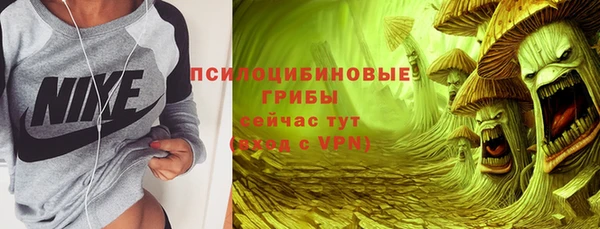 герыч Каменногорск